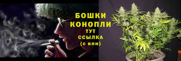 твердый Абаза