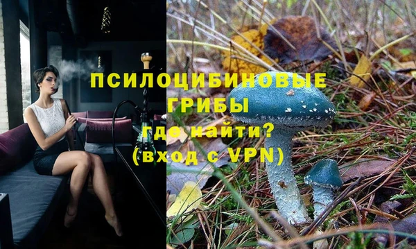 твердый Абаза